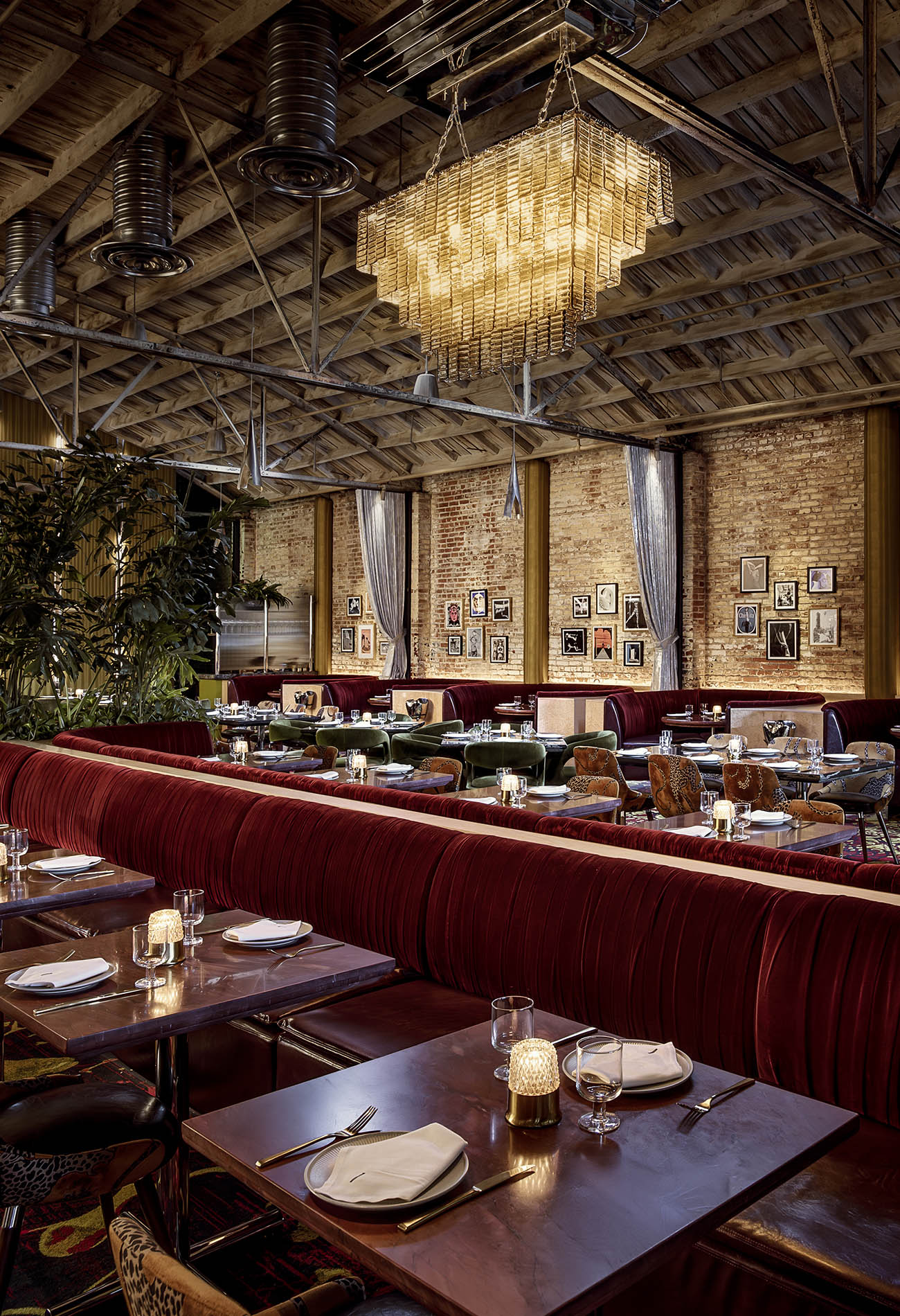 Workind Studio dining room for Le Coq restaurant in La Jolla, San Diego, California.